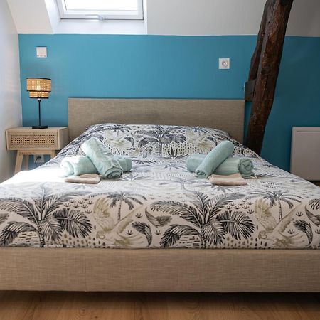 Apartament La Belle Rive Du Voyageur Bellerive-sur-Allier Zewnętrze zdjęcie