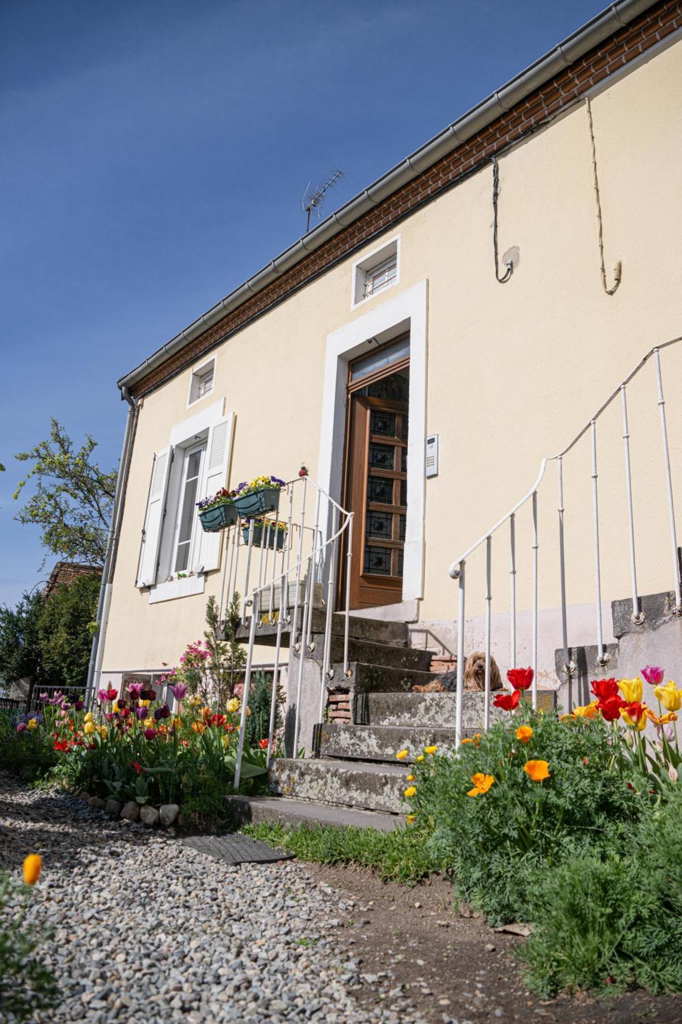 Apartament La Belle Rive Du Voyageur Bellerive-sur-Allier Zewnętrze zdjęcie